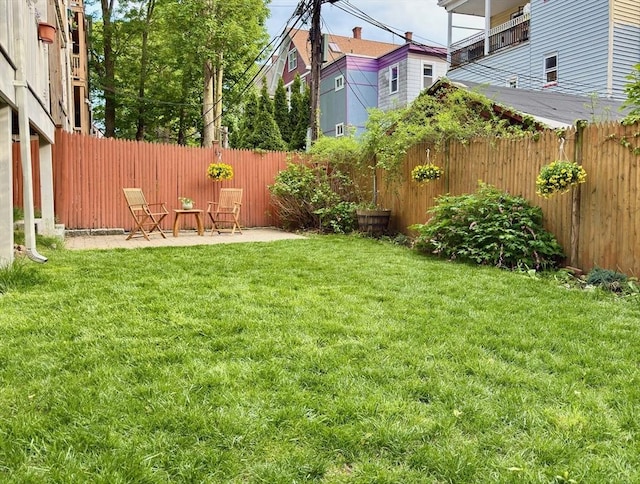 view of yard featuring a patio area