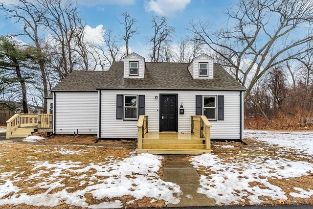 view of cape cod house