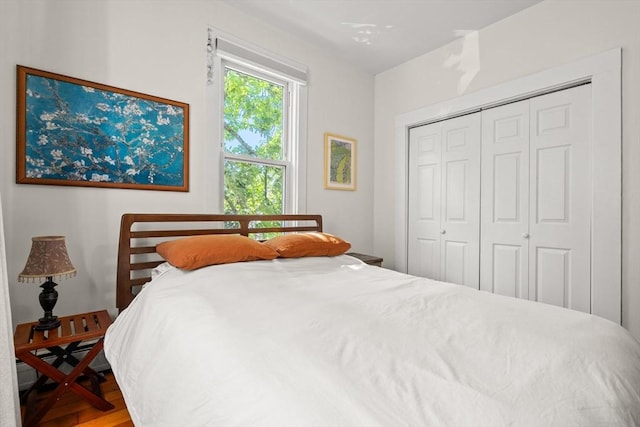 95 Child St Unit 2, Boston, MA 02130 - bedroom featuring a closet and wood finished floors