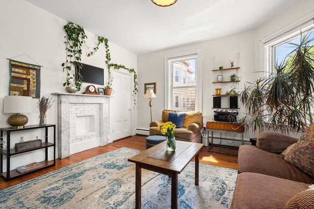95 Child St Unit 2, Boston, MA 02130 - living area with a baseboard heating unit, healthy amount of natural light, and a fireplace