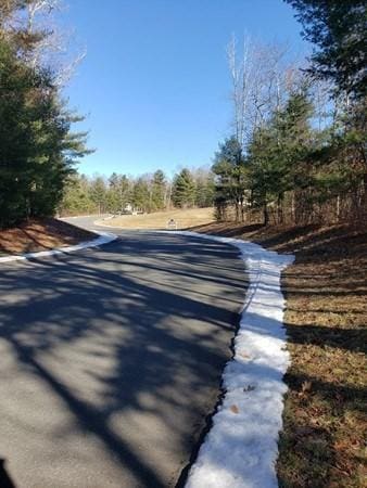 Listing photo 3 for LOT25 Coldbrook Dr, Ware MA 01082