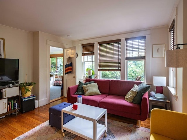 303 S St, Northampton, MA 01060 - living room featuring light wood-style floors and ornamental molding