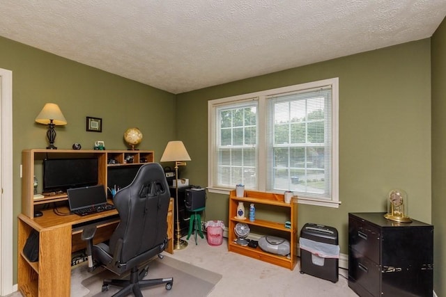 20 Starling Way, Leominster, MA 01453 - carpeted home office featuring a textured ceiling