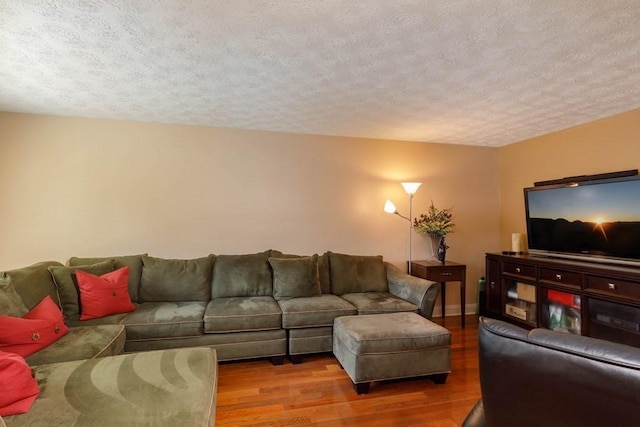 20 Starling Way, Leominster, MA 01453 - living room featuring wood finished floors and a textured ceiling