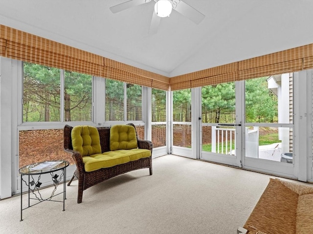 sunroom with ceiling fan and vaulted ceiling
