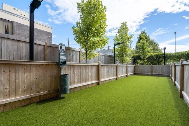 50 Leo M Birmingham Pkwy Unit 509, Boston, MA 02135 - view of yard