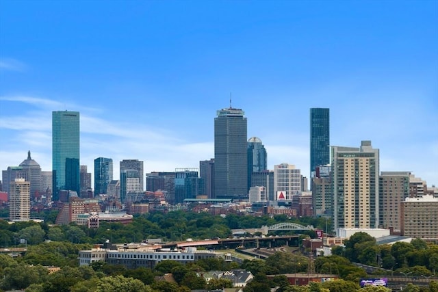 50 Leo M Birmingham Pkwy Unit 509, Boston, MA 02135 - skyline view