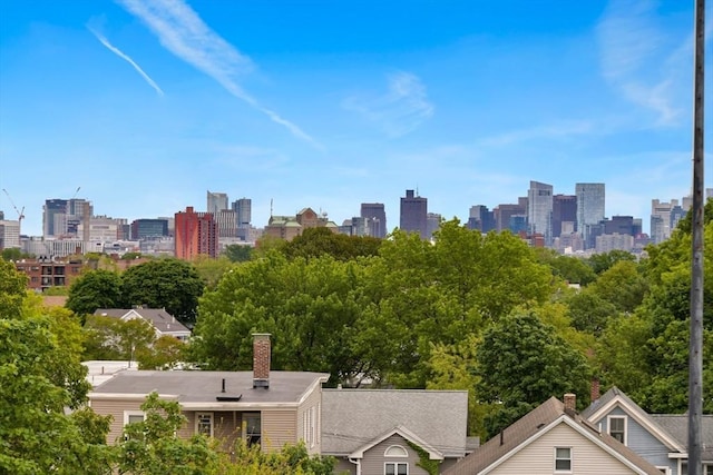 50 Leo M Birmingham Pkwy Unit 509, Boston, MA 02135 - view of city skyline
