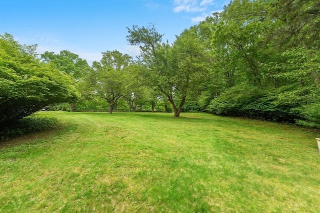 220 Prospect St, Seekonk, MA 02771 - view of grassy yard