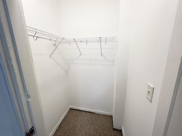 spacious closet with dark colored carpet