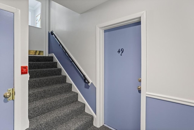 stairway featuring carpet flooring