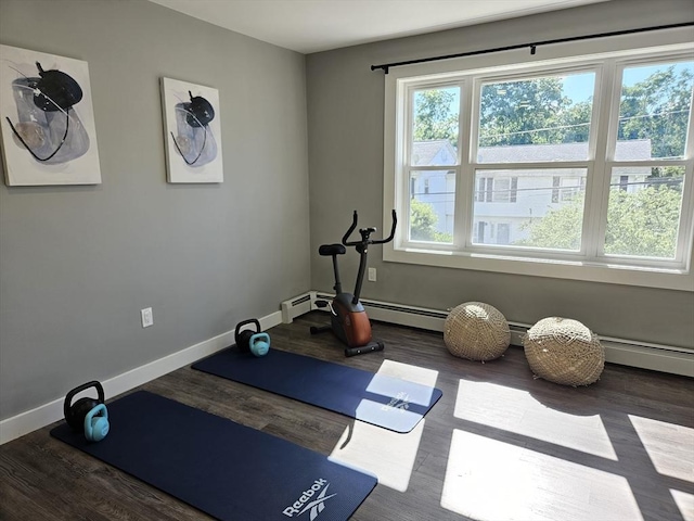 workout room featuring dark hardwood / wood-style flooring