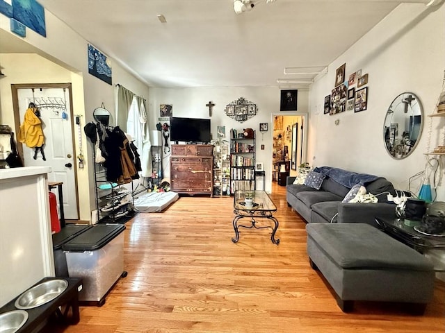 262 Adams St, Newton, MA 02458 - living room featuring light wood-style floors
