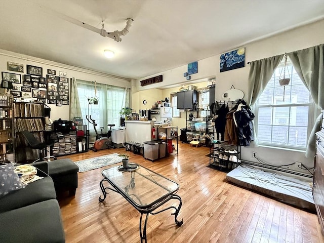 262 Adams St, Newton, MA 02458 - living room featuring hardwood / wood-style floors