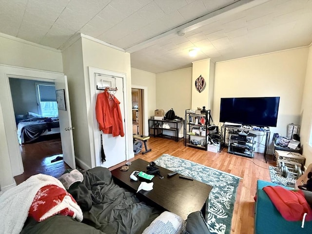 262 Adams St, Newton, MA 02458 - living room featuring wood finished floors