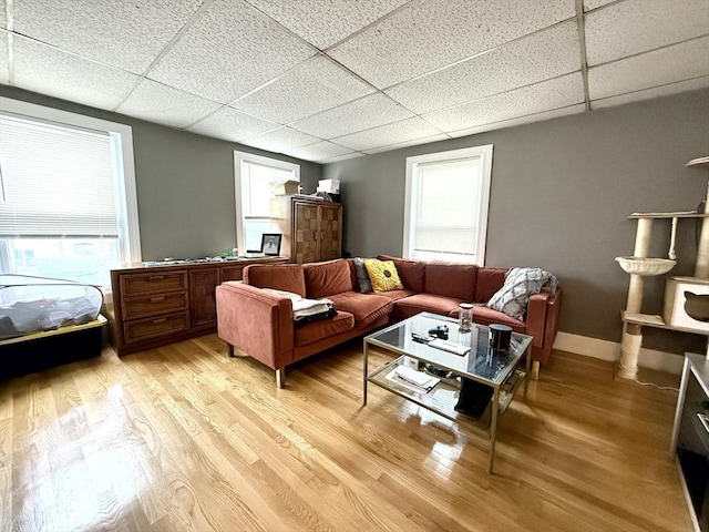 262 Adams St, Newton, MA 02458 - living area featuring a drop ceiling, light wood-style flooring, and baseboards