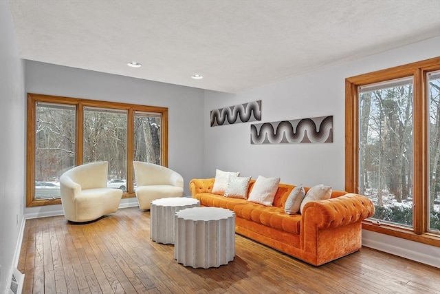 living room with hardwood / wood-style floors