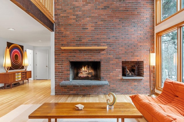 living room with a fireplace and light hardwood / wood-style flooring