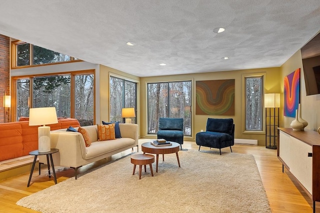 living room featuring plenty of natural light and light hardwood / wood-style flooring