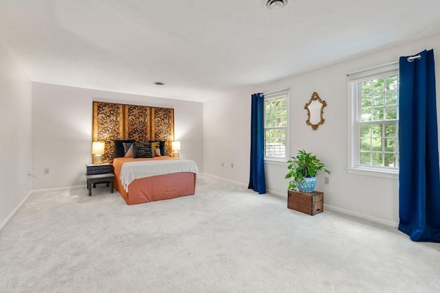 20 Hawthorne Vlg Unit C, Franklin, MA 02038 - bedroom featuring carpet floors and baseboards