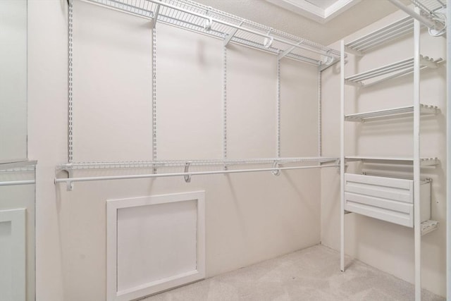 20 Hawthorne Vlg Unit C, Franklin, MA 02038 - walk in closet with carpet