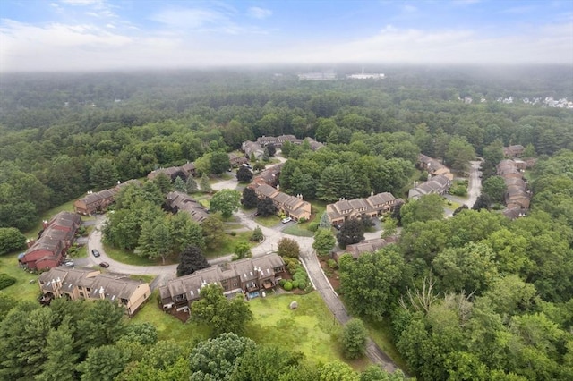 20 Hawthorne Vlg Unit C, Franklin, MA 02038 - view of property location featuring a forest