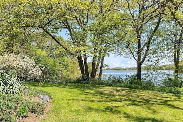 23 Newmarch St, Ipswich, MA 01938 - view of grassy yard featuring a water view