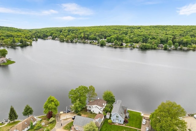 11 Bayside Dr, Wales, MA 01081 - bird's eye view of a heavily wooded area and a nearby body of water