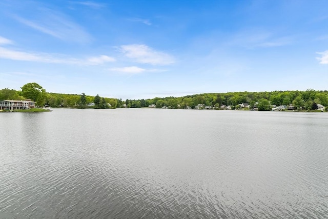11 Bayside Dr, Wales, MA 01081 - water view