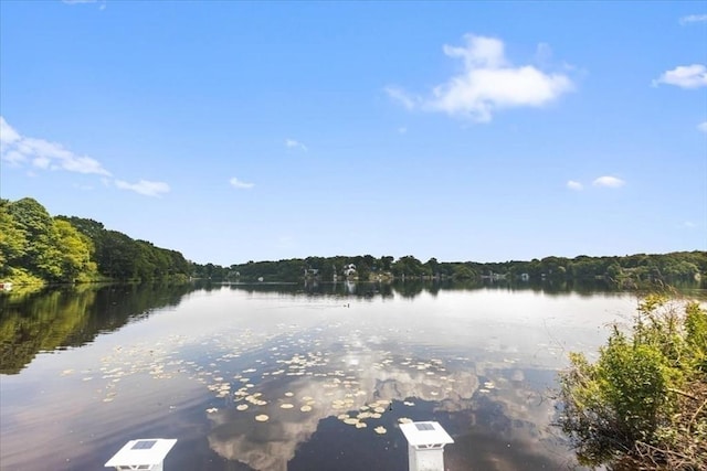 14 Carlson Cv, Weymouth, MA 02189 - water view with a forest