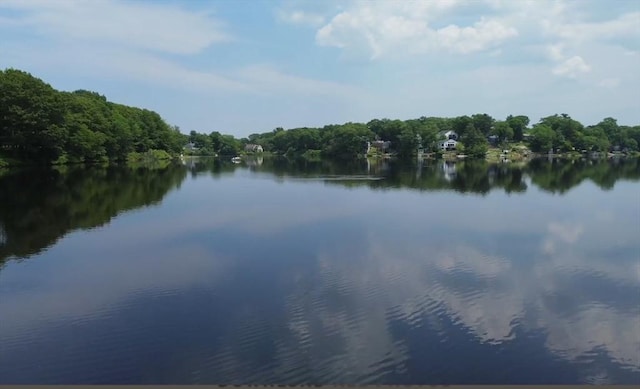 14 Carlson Cv, Weymouth, MA 02189 - water view featuring a heavily wooded area