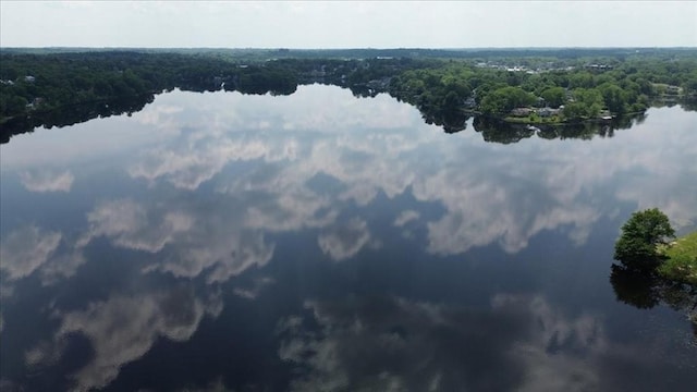 14 Carlson Cv, Weymouth, MA 02189 - bird's eye view of a forest and a large body of water
