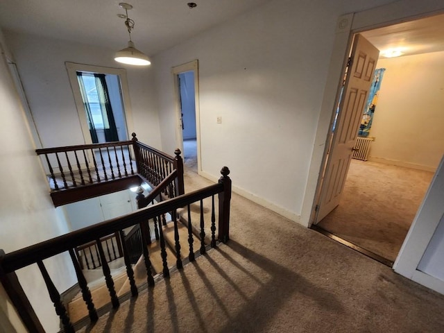 stairway featuring carpet flooring