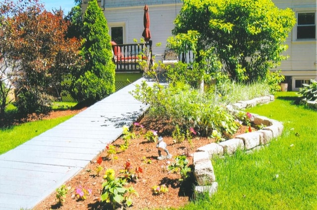 view of community with a lawn