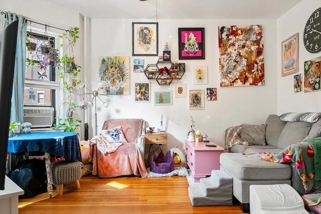 39 Glenville Ave Unit 2, Boston, MA 02134 - living area with wood finished floors and cooling unit