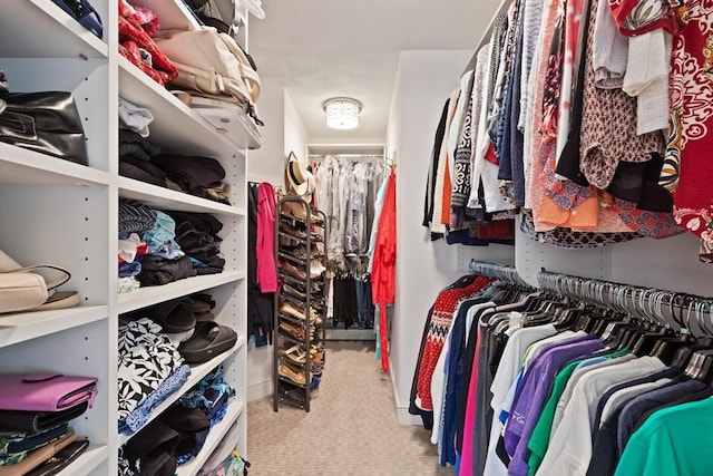 spacious closet with carpet