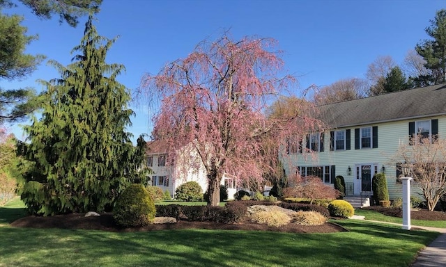 view of front of home featuring a front lawn