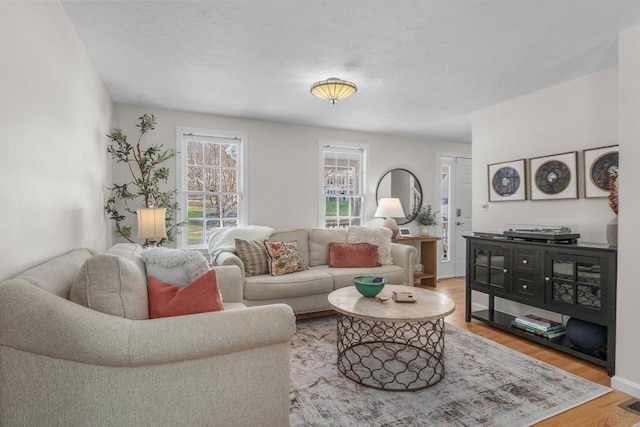 living area featuring wood finished floors