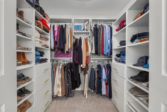 walk in closet with light colored carpet