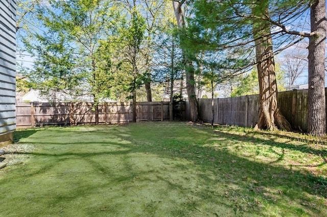 view of yard featuring a fenced backyard