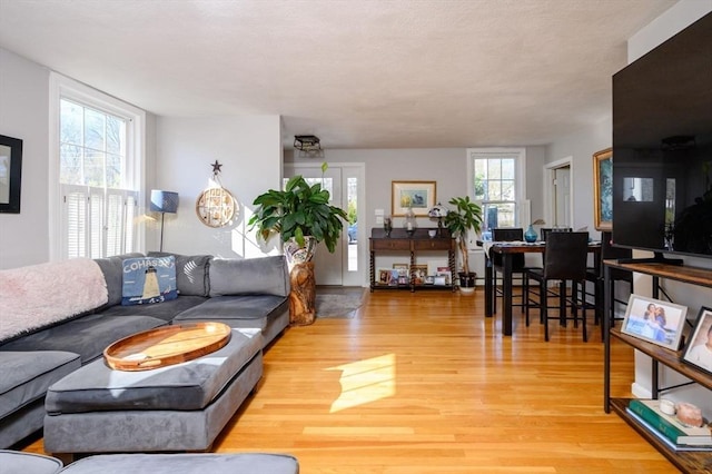 living room featuring light wood-type flooring