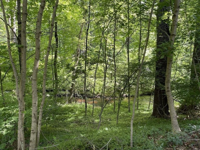 127 Depot Rd, Boxford, MA 01921 - view of woods
