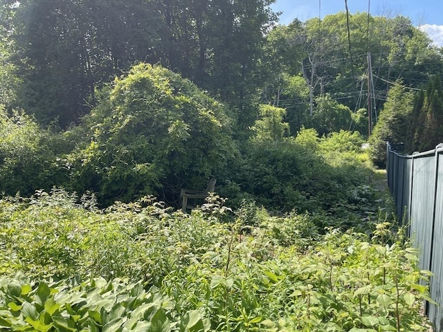 127 Depot Rd, Boxford, MA 01921 - view of tree filled area