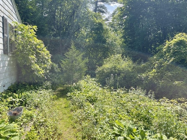 127 Depot Rd, Boxford, MA 01921 - view of yard with a wooded view