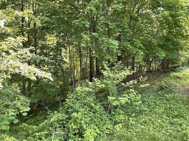 127 Depot Rd, Boxford, MA 01921 - view of woods