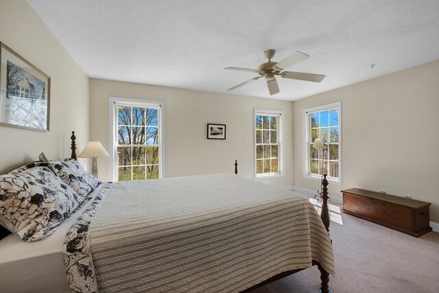 carpeted bedroom featuring multiple windows, baseboards, and a ceiling fan