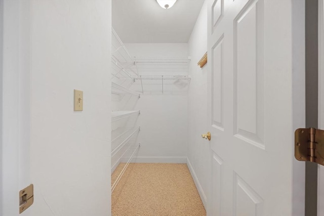 spacious closet with carpet flooring