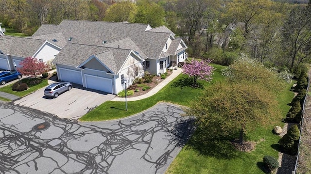 bird's eye view