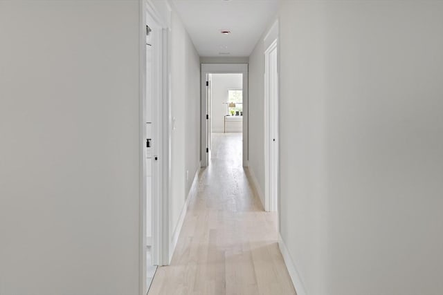 19 Couture Way, Middleton, MA 01949 - hallway featuring light wood-style floors and baseboards