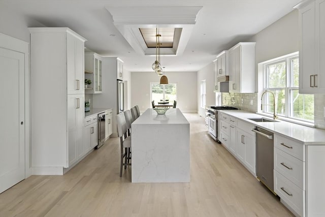 19 Couture Way, Middleton, MA 01949 - kitchen featuring appliances with stainless steel finishes, a tray ceiling, light wood-style flooring, a center island, and wine cooler
